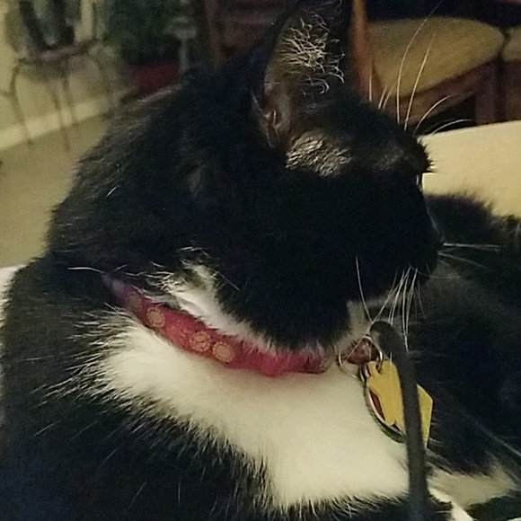 Meet your Posher, Judy - Picture 1 of 1